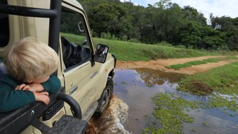 Safari-Jeep fährt durch ein Wasserloch, während ein Baby entspannt darin sitzt, im Botlierskop Private Game Reserve – Garden Route Reise mit Kindern
