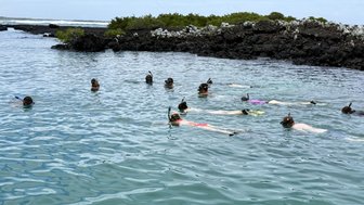 Eine Gruppe von Schnorchlern schwimmt in klarem Wasser, umgeben von Felsen und üppiger Vegetation im Hintergrund.