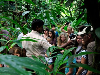 Reisegruppe lauscht einem Guide bei der Führung durch einen Gewürzgarten – Sri Lanka Familienreise