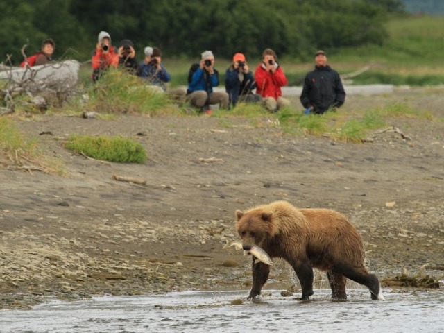 Nordamerika Familienurlaub - Familie beobachtet Bären