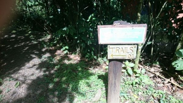 Costa Rica mit Kindern - Wanderwege La Tigra