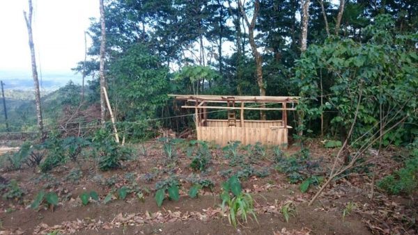 Costa Rica mit Kindern - Hühnerstall