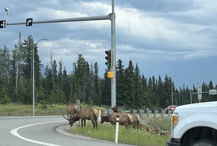 Westkanada Camping for family - Rocky Mountains mit Kindern - Auto fahren in Kanada