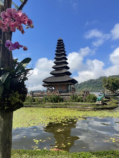 Java-Bali Family & Teens - Tempel und Landschaft - Bewertung