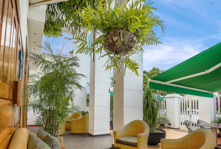Kuba for family - Kuba mit Kindern - Havanna - Hostal Relax Havana - Terrasse