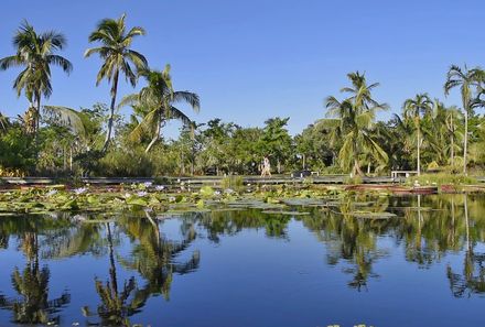 Florida Rundreise mit Kindern - Naples - Wasser und Palmen im Hintergrund