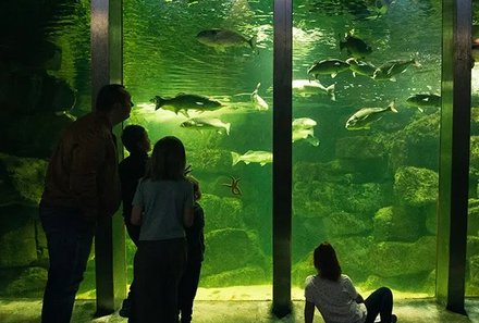 Irland Familienreise - Irland for family - Besuch des Galway Atlantaquaria