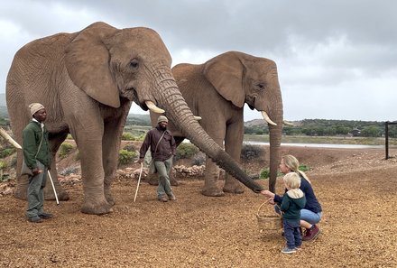 Garden Route mit Kindern individuell - Oudtshoorn - Buffelsdrift Game Lodge - Elefantenerlebnis