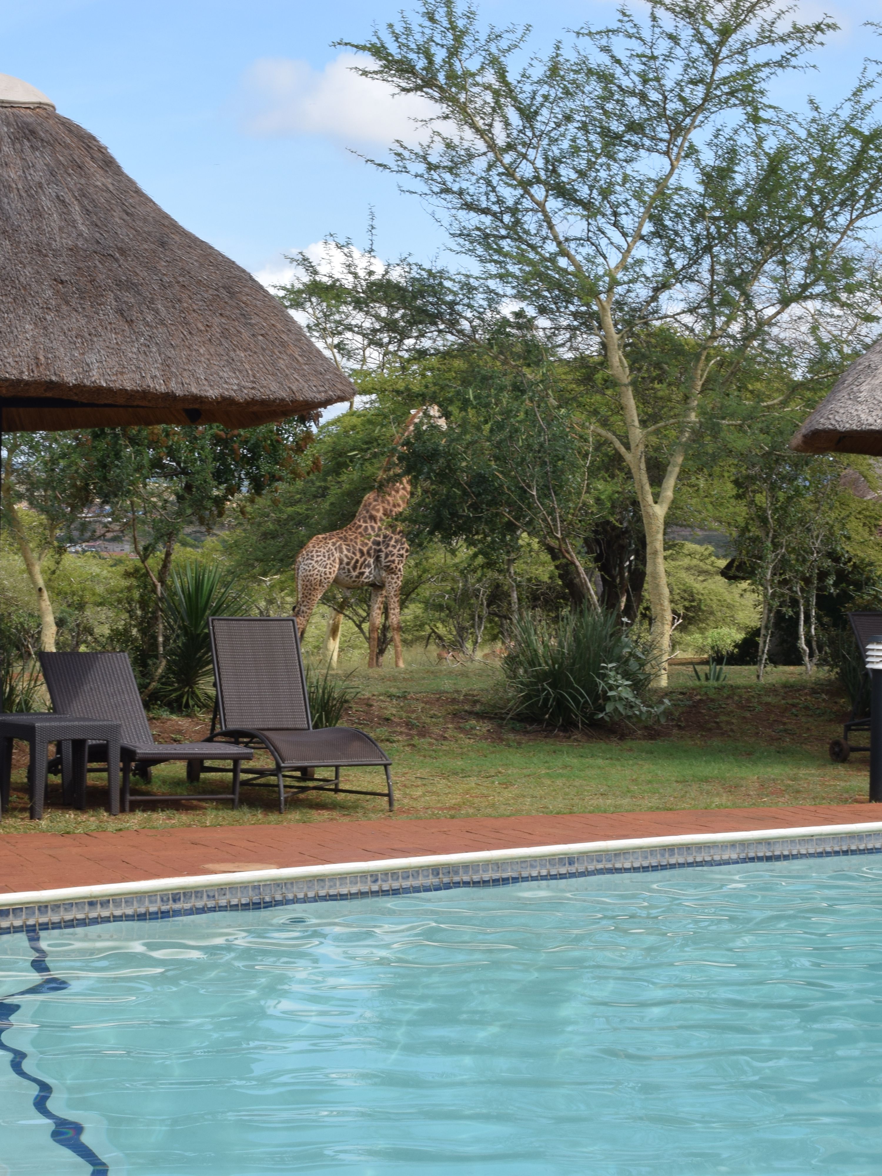 Südafrika mit Kindern - Ubizane Safarie Wildlife Reserve