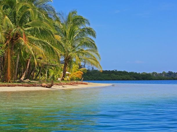 Familienreisen nach Costa Rica - Costa Rica mit Kindern - Strand mit Palmen