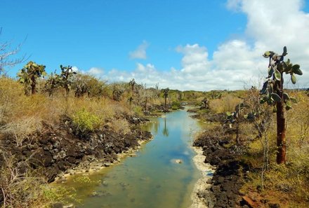 Galapagos mit Kindern - Galapagos Family & Teens - Santa Cruz Landschaft