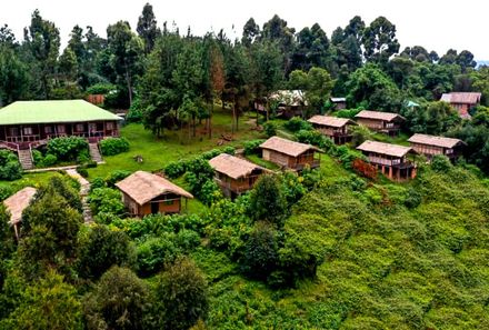 Uganda Family & Teens - Familienreise - Gorilla Mist Camp - Unterkunft Vogelperspekive