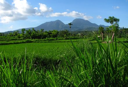 Bali mit Kindern - Amed Lempuyang Berg