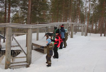 Finnland Familienurlaub - Finnland Winter for family - Kinder vor Hundegehege