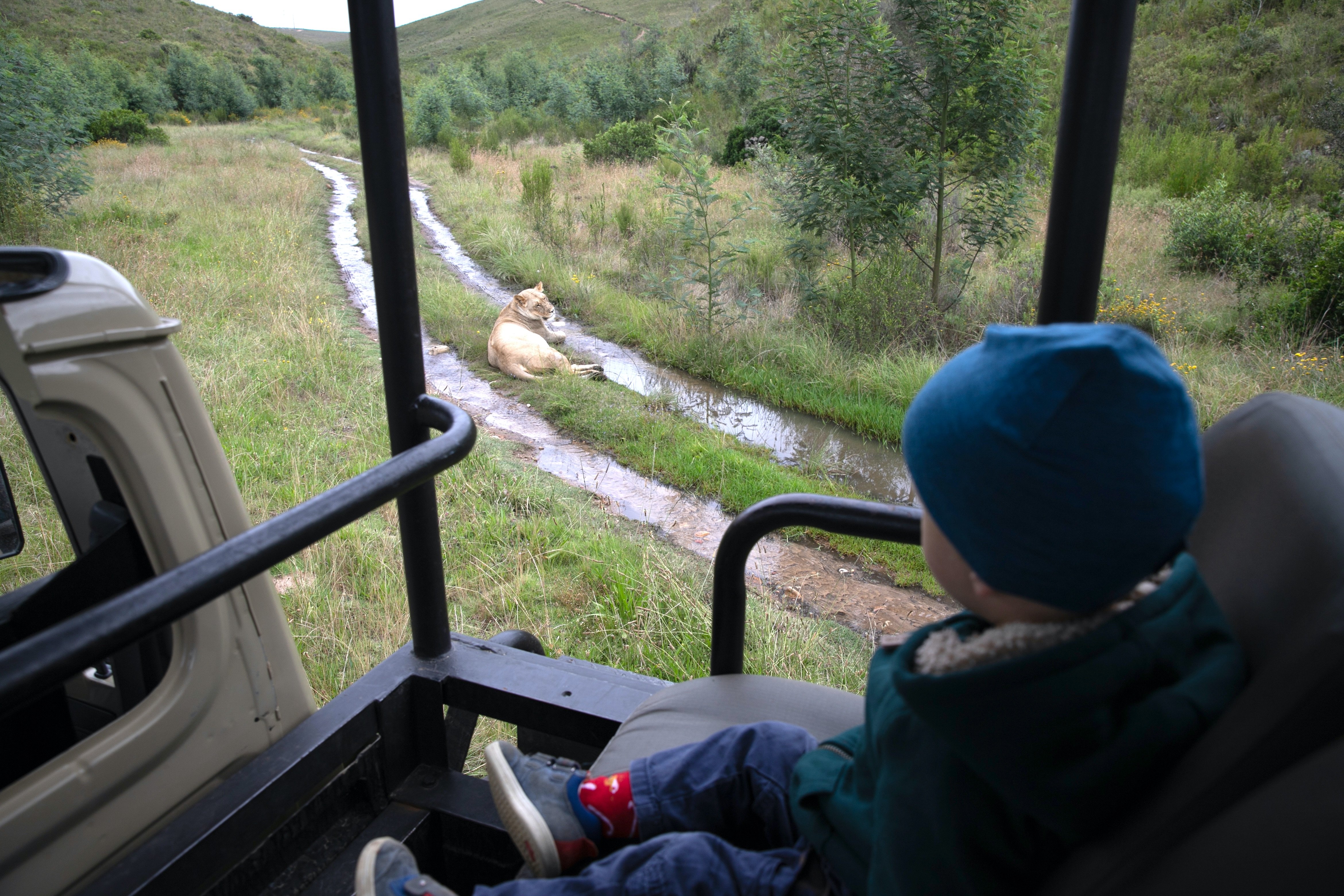 Safari Afrika mit Kindern - Safari Urlaub mit Kindern - Safari mit Kindern ab welchem Alter - Kleinkind auf Safari