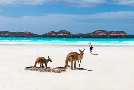  Australien for family - Australien Familienreise - Känguru am Strand