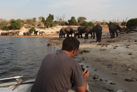 Botswana Familienreise - Botswana Family & Teens - Elefantenherde in Chobe