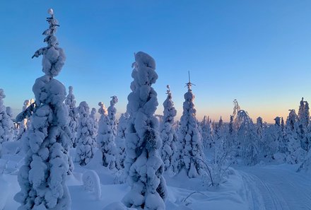 Finnland Familienurlaub - Finnland for family Winter - verschneite Landschaft