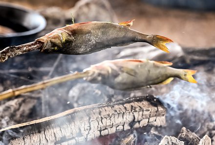 Schweden for family - Schweden Sommer - Fisch grillen