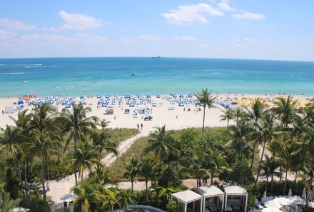 Florida Rundreise mit Kindern - Miami - Blick auf Palmen und Strand