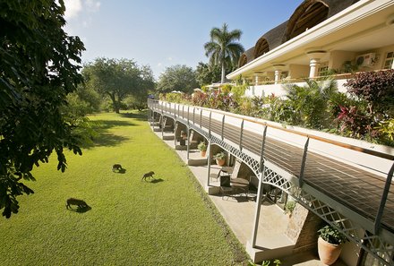 Botswana Fly-In-Safari individuell - Ilala Lodge Hotel - Außenansicht