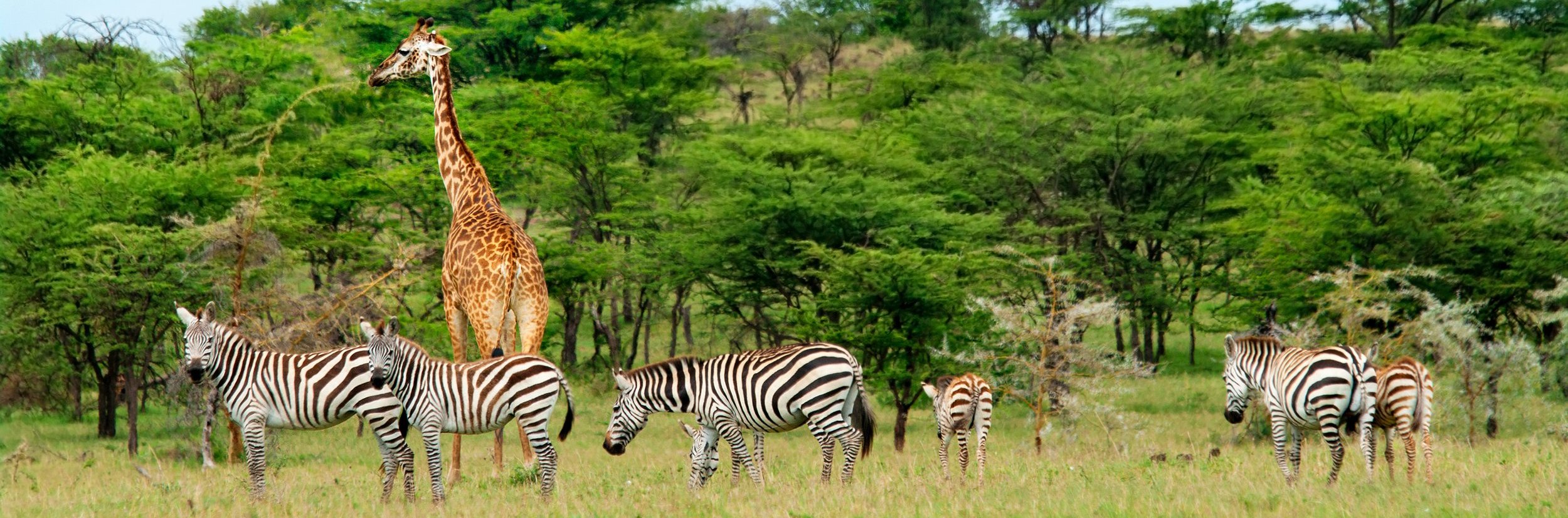 Südafrika mit kindern reisebericht