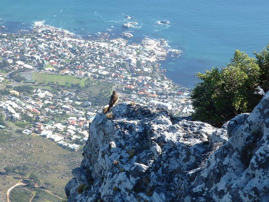Südafrika mit Kindern - Blick vom Tafelberg