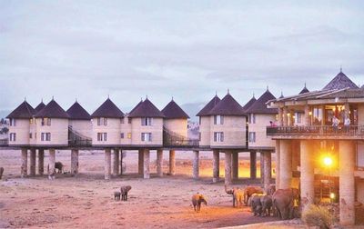 Kenia Familienreise - Kenia for family individuell - Taita Hills - Sarova Saltlick Lodge