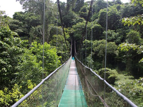 Costa Rica mit Kindern Erfahrungen - Costa Rica mit Kleinkindern - Costa Rica mit Kindern Blog - Hängebrücke