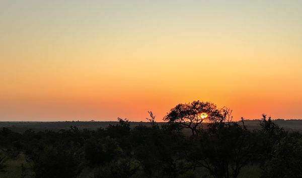 Feedback ZAFTKR Osterferien 2023 - Südafrika Family & Teens - Sonnenuntergang Südafrika