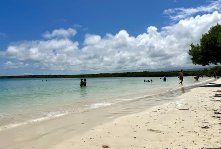 Familienreise Galapagos und Ecuador - Galapagos Family & Teens - Puerto Ayora