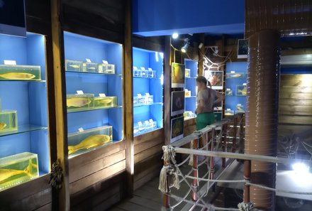 Türkei Familienreise - Türkei for family - Meereskunde Museum - Ausstellung