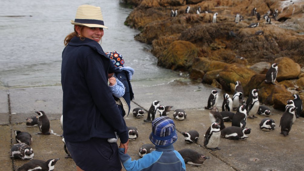 Garden Route mit Kleinkind - Elternzeit in Südafrika - Ausflug zu Bettys Bay mit Baby