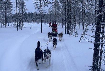 Schweden for family Winter - Hundeschlittentour - mit Familien 