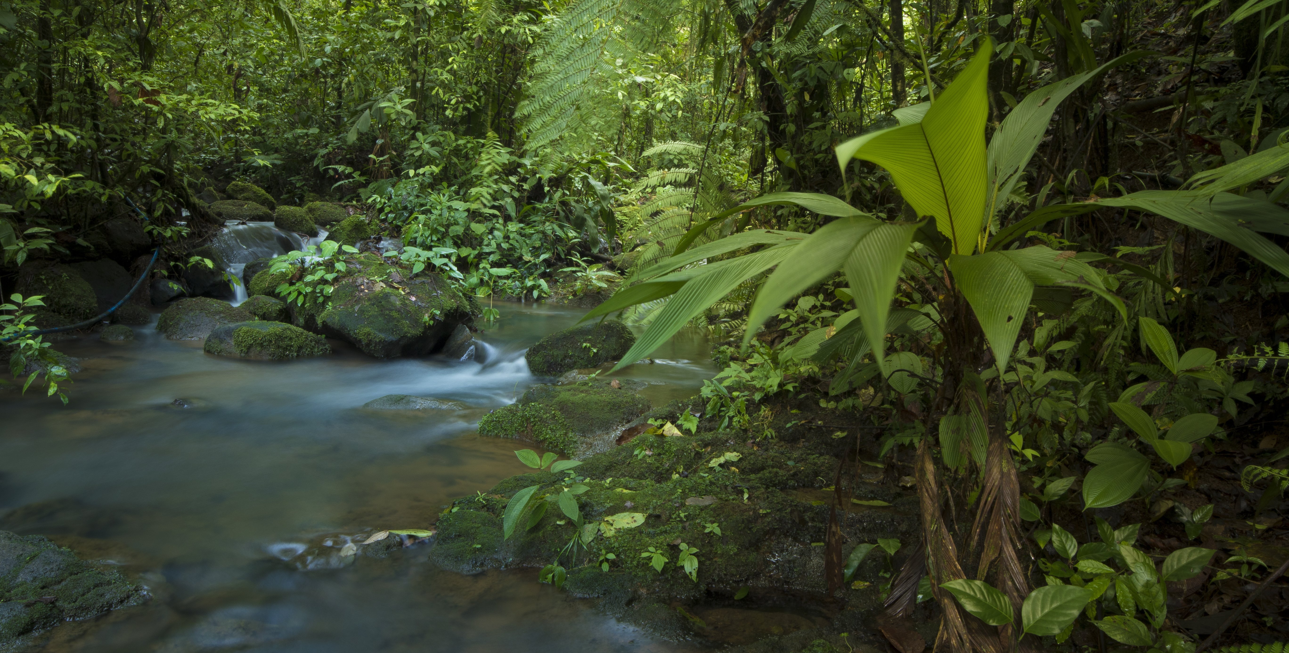 Costa Rica mit Kindern - Regenwaldprojekt: La Tigra Rainforest Lodge - La Tigra Fluss