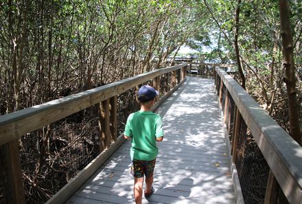 Florida Familienreise - Kind spaziert auf Brücke im Wald