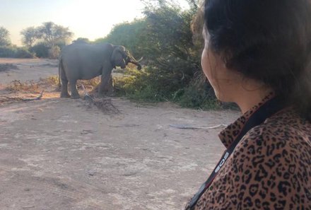 Namibia mit Kindern - Tiere im Etosha Nationalpark - Elefant