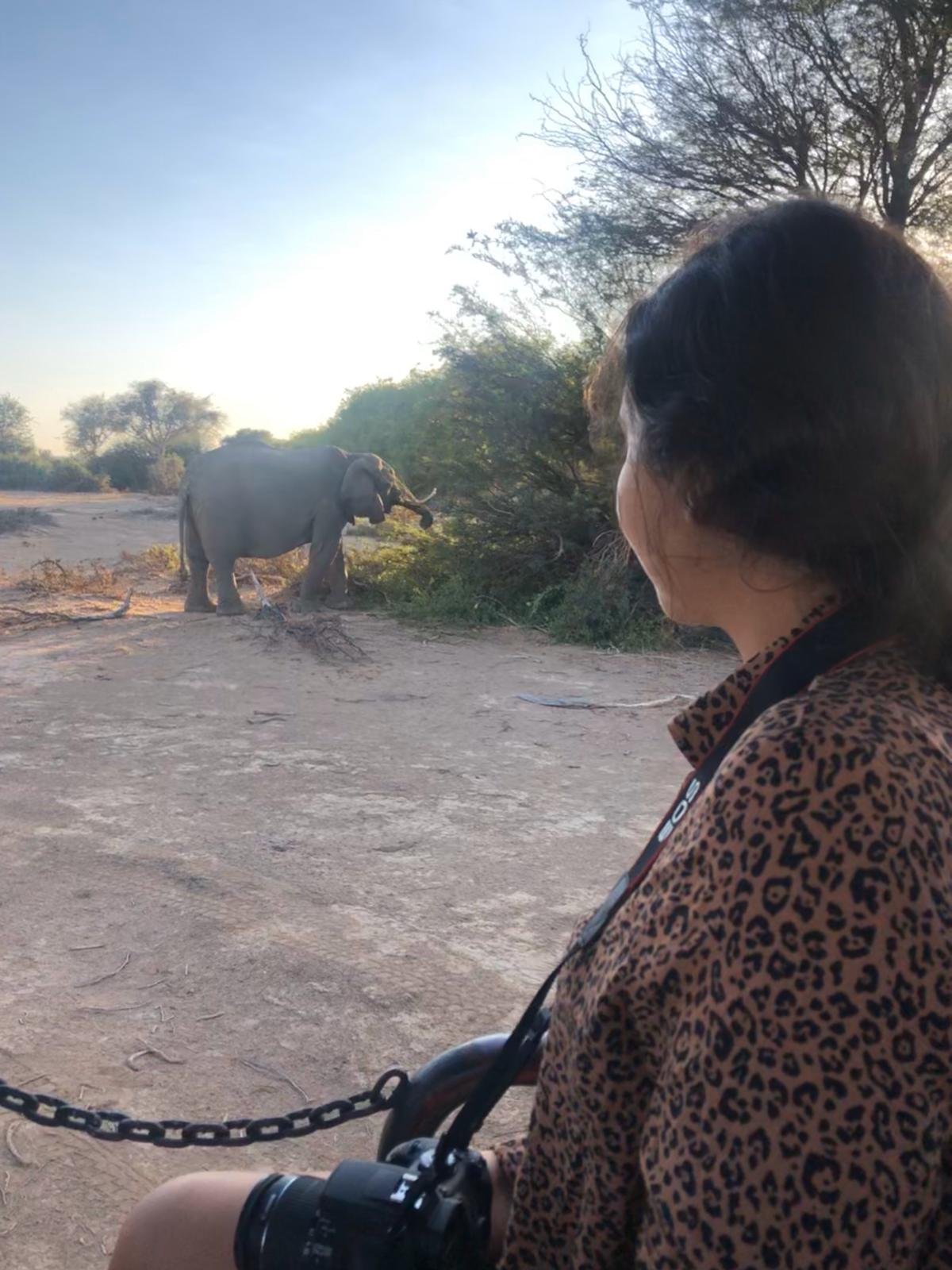 Namibia mit Kindern - Namibia Rundreise mit Kindern - Namibia Safari mit Kindern - Pirschfahrt zu den Big Five im Etosha Nationalpark