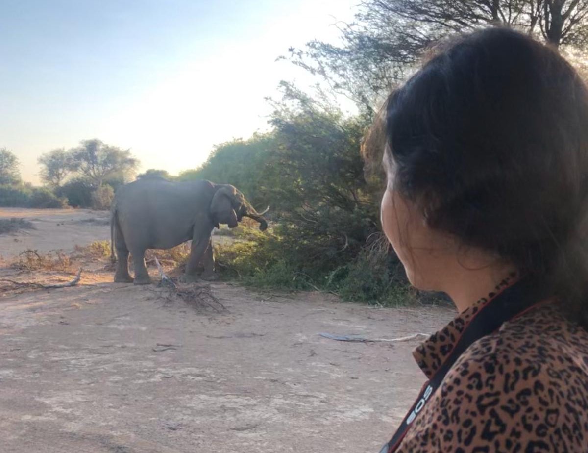 Action Urlaub mit Jugendlichen - Reiseziele Bucketlist für Fernreisen mit Jugendlichen - Namibia Etosha Safari