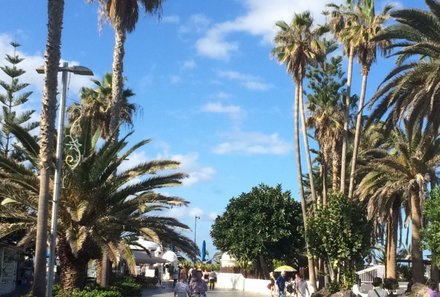 Kanaren mit Kindern - Teneriffa mit Kindern - Puerto de la Cruz - Palmen