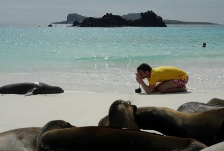 Galapagos Familienreise - Galapagos for family individuell - Seelöwen am Strand