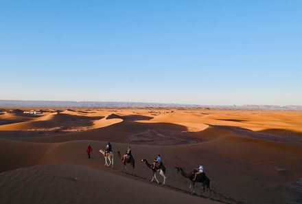 Marokko mit Kindern - Marokko for family - auf Dromedaren durch die Sahara