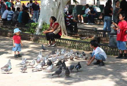 Familienreise Mexiko - Mexiko for family - Zocalo Merida