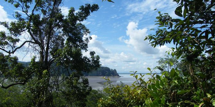 Familienreise_Malaysia_Tag11_Bako