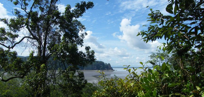 Familienreise Malaysia und Borneo - Der Bako-Nationalpark auf Borneo