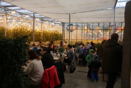 Island Familienreise - Island for family -  Tomaten-Gewächshaus Friðheimar - Restaurant
