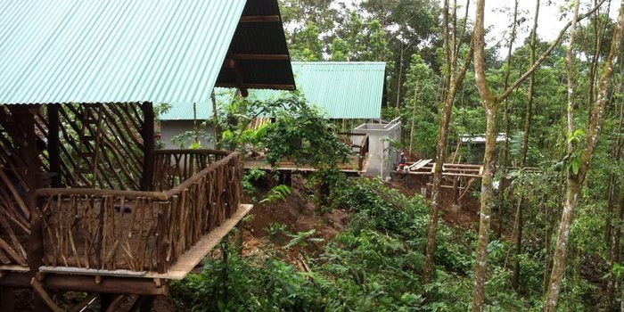 Costa Rica Unterkunft mit Kindern - La Tigra Rainforest Lodge - Lodge im Regenwald