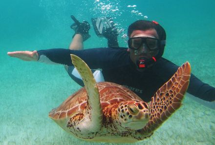 Mexiko Familienreise - Mexiko young family individuell - Huatulco - Mann beim Tauchen mit Schildkröte