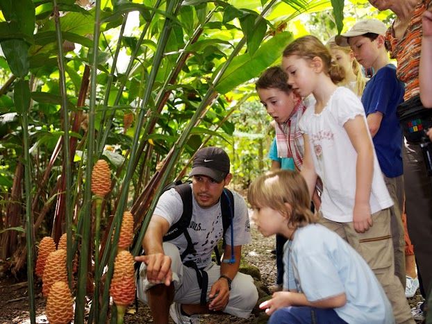 Familienreisen nach Costa Rica - Costa Rica mit Kindern - Kinder im Regenwald