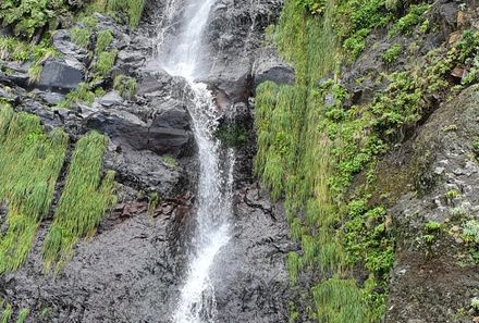 Madeira Familienreise - Madeira for family individuell - Jeeptour